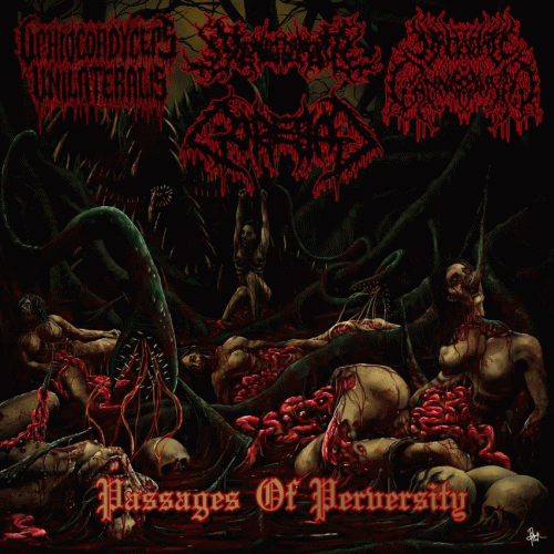 Ophiocordyceps Unilateralis : Passages of Perversity